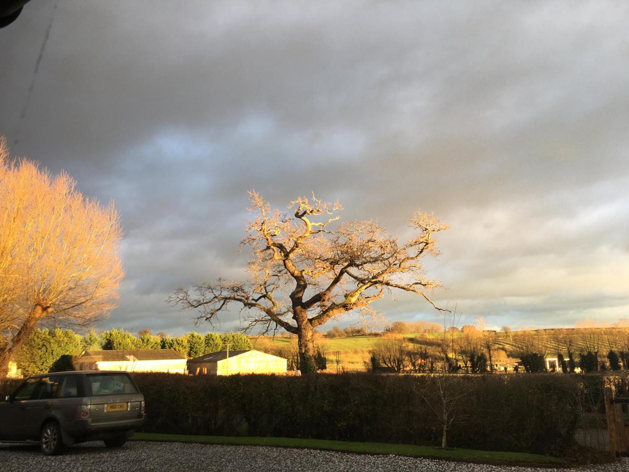 Oak Barn In The Cotswolds Near Moreton In Marsh Shipston-on-Stour Eksteriør billede
